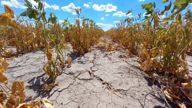 Emergencia agropecuaria Emergencia agropecuaria