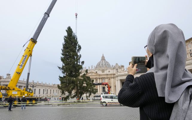 Una monja toma fotos mientras una grúa levanta un abeto de 113 años y 28 metros de altura en la Plaza de San Pedro