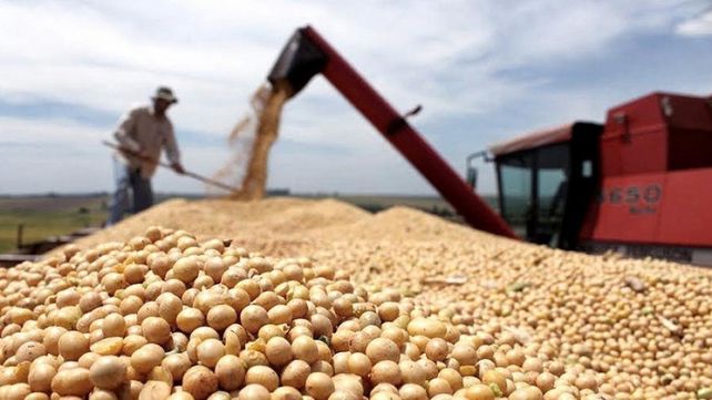 Cartelera económica. Durante el encuentro se recorrerán las tres décadas transcurridas desde la aprobación del primer cultivo transgénico en el país