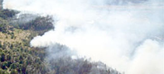 Est&aacute; fuera de control el incendio en el Parque Nacional Los Alerces