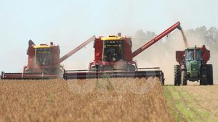 Santa Fe recibe solo el 5% de lo que aporta en retenciones a la soja