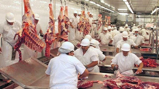 El frigorífico irá poniendo la planta en condiciones y con las pruebas necesarias para cada cadena de producción.&nbsp;