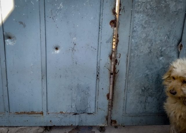Más de 20 balazos para matar a un albañil en un punto de Tablada que ya conoce de muertes violentas