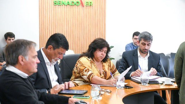 El proyecto de ley modifica artículos de La Ley 10.746