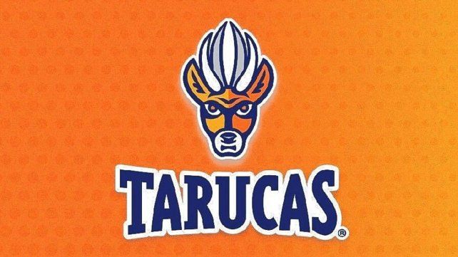 El logo de Tarucas