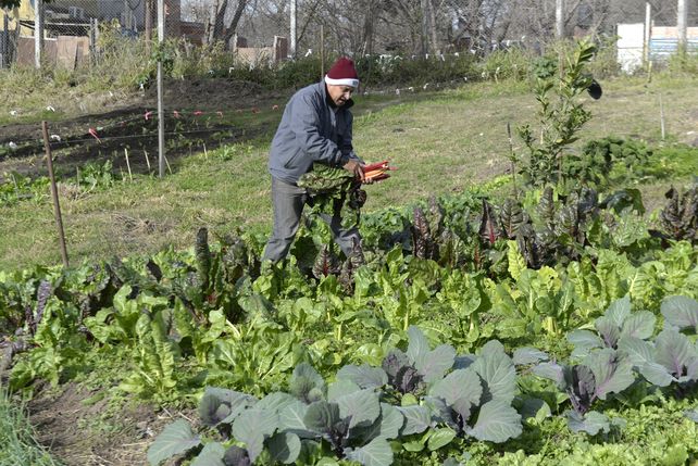 El Ministerio de Agricultura lanzó créditos para pequeñas y medianas producciones.