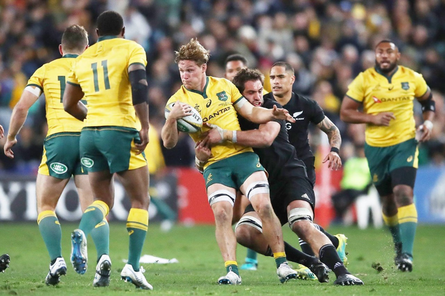 Australia y Nueva Zelanda abrirán el Rugby Championship el 31 de octubre a las 5.45 hora de nuestro país en Sidney.