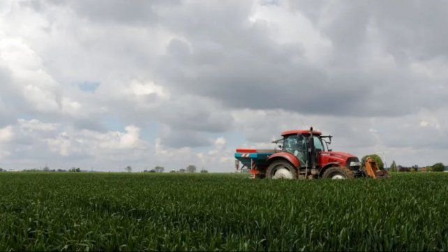 Clima y agro: marzo se muestra más prometedor para la zona núcleo, pero a no ilusionarse