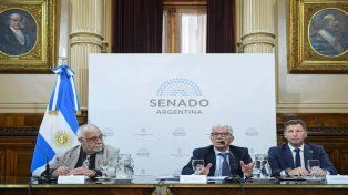 Mariano Cúneo Libarona en su presentación sobre el proyecto de ley contra las denuncias falsas.