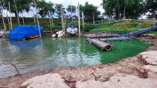 El bloom se registró en la costa norte de la ciudad
