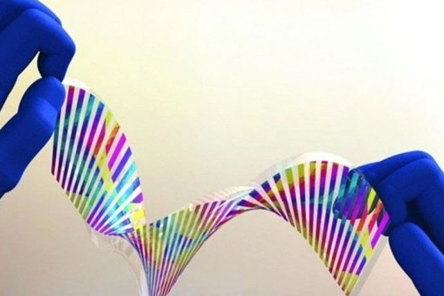 Cearon una piel artificial que cambia de color