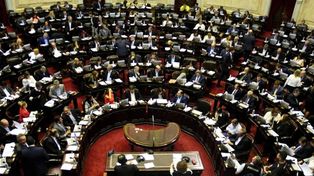 El oficialismo apura la sanción de la ley contra los barrabravas