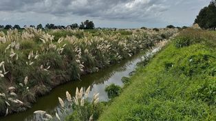 El humedal que comprende la laguna El Hinojo forma parte del Sistema Provincial de Áreas Naturales Protegidas.