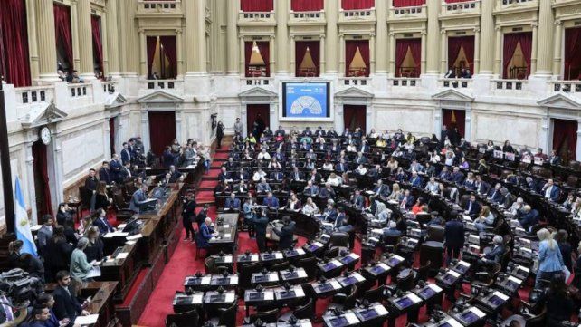 Diputados aprobó el rechazo al veto a la emergencia en Discapacidad.