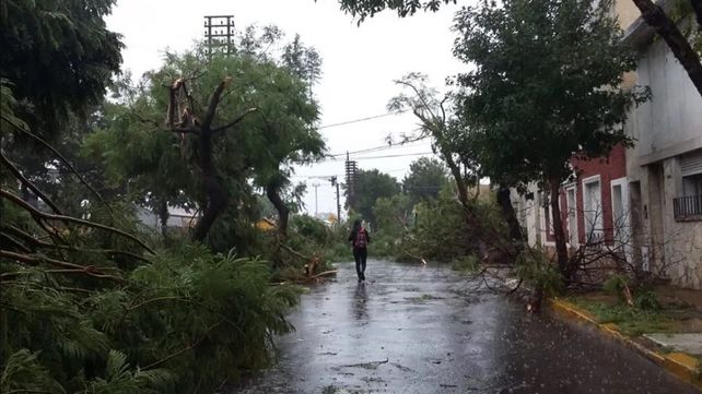 Feroz temporal de lluvia, viento y granizo provocó graves destrozos en Santa Fe y Córdoba