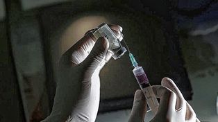 Tres vacunas contra el dengue: ¿Cuáles son y qué hay en Argentina?