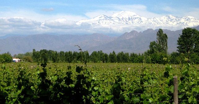 Mendoza hace punta en la construcci&oacute;n de los primeros countries del vino