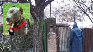 Una mujer murió tras ser atacada en su vivienda por su perra pitbull