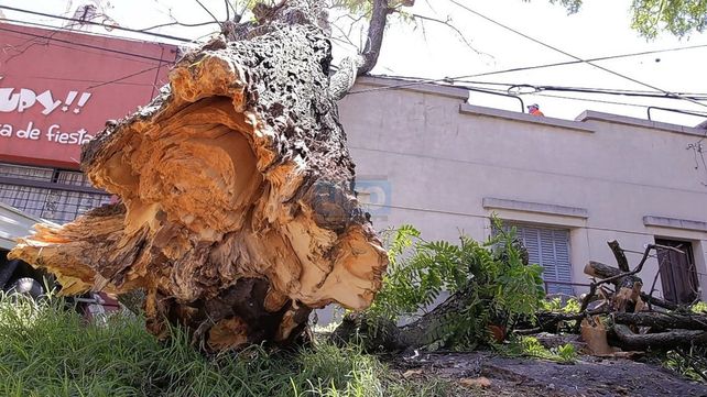 Paraná: la comuna realiza un operativo de urgencia tras los daños por el temporal
