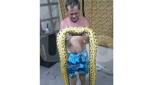 Foto lector: víbora gigante en Helvecia