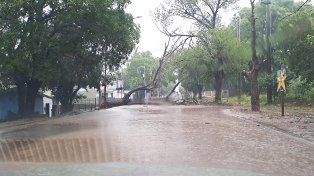 Personal de la Dirección de Protección Civil de la Municipalidad de Paraná recorre la ciudad durante la tormenta para evaluar los daños