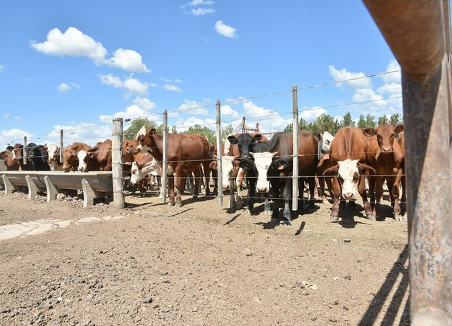 &nbsp;El Usda estima que por la baja de precios