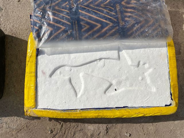 Entre el material incautado hubo cinco kilos de cocaína de máxima pureza con el sello de un delfín