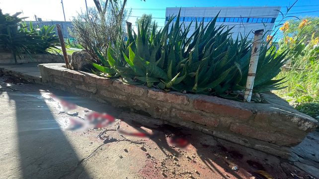 Rastros de sangre quedaron en la calzada donde ocurrió el lamentable suceso.