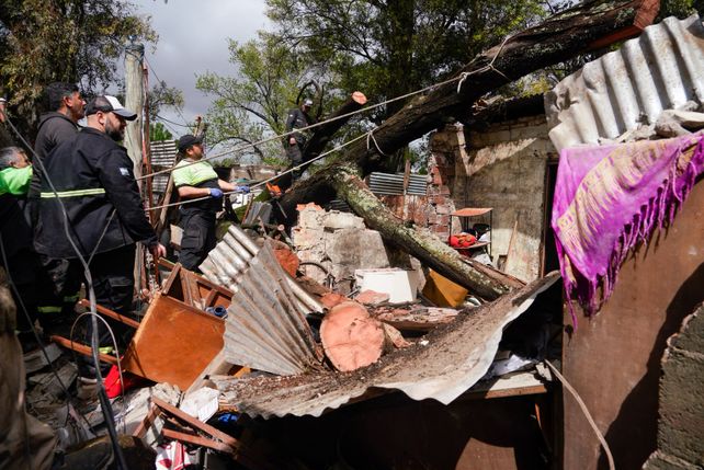 Un enorme árbol cayó sobre dos casas en barrio Banana. El Sies trasladó a dos niños al Hospital Vilela