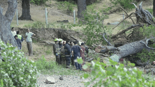 Dos niños de 2 y 10 años mueren aplastados por un árbol a orillas del lago Lácar