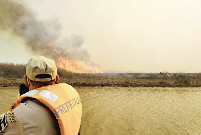 Video: detuvieron a tres hombres que iniciaron un incendio en el Delta del Paraná