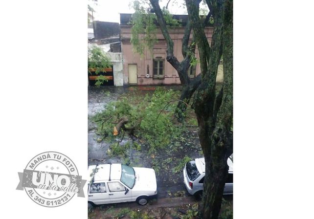 Terrible temporal de lluvia y viento generó graves destrozos en Paraná