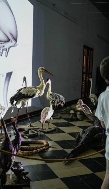 Más de 150 instituciones participarán de La Noche de los Museos Entrerrianos