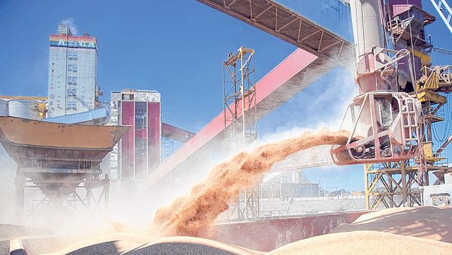 Los precios del poroto y el aceite de soja muestran niveles récords en el mercado externo.