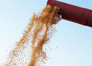El agro liquidó US$2.750 millones en agosto y registra una caída del 12% en el año