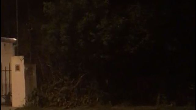 Captura de pantalla del video que sorprende por la crudeza de los gritos.&nbsp;