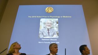 El japonés Yoshinori Ohsumi, Nobel de Medicina por sus  investigaciones sobre autofagia