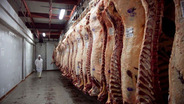 las-seis-empresas-inhabilitadas-el-viernes-comercializaron-casi-7000-toneladas