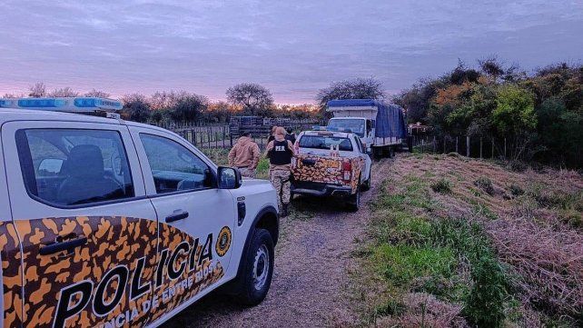 La Paz: banda de cuatreros fue detenida cuando robaba 13 animales.
