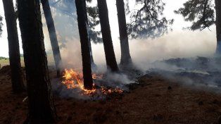 Bomberos Voluntarios de Ceibas acudieron el sábado y el domingo a apagar incendios en la estancia La Pellegrina. El lugar reportó al menos 15 en la temporada&nbsp;