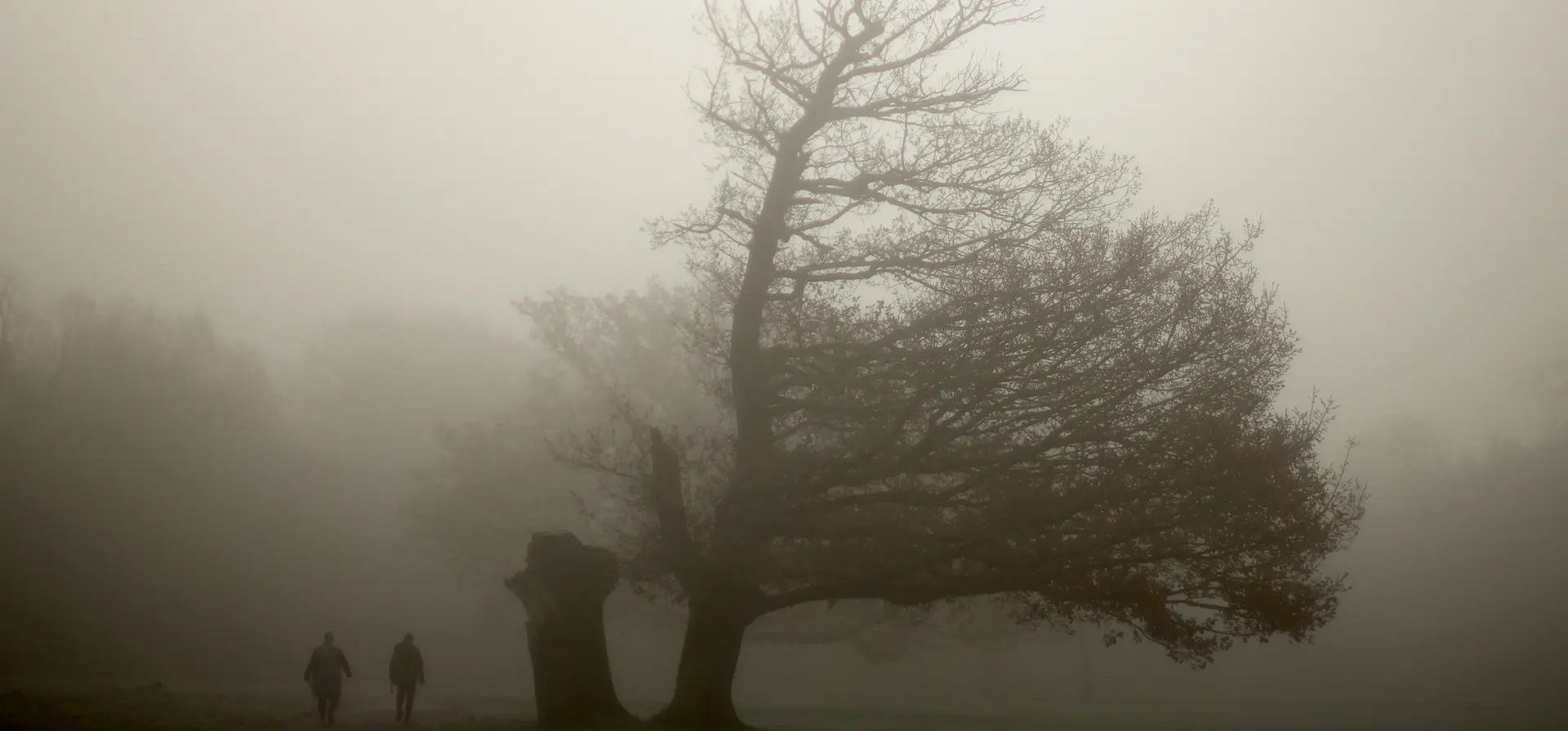 La gente pasea a sus perros en un parque bajo la espesa bruma de Wythenshawe, Manchester, Reino Unido. Fotografía: Phil Noble/Reuters La gente pasea a sus perros en un parque bajo la espesa bruma de Wythenshawe, Manchester, Reino Unido. Fotografía: Phil Noble/Reuters