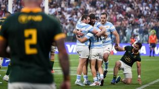 Los Pumas van por la heróica ante los siempre favoritos Springboks.