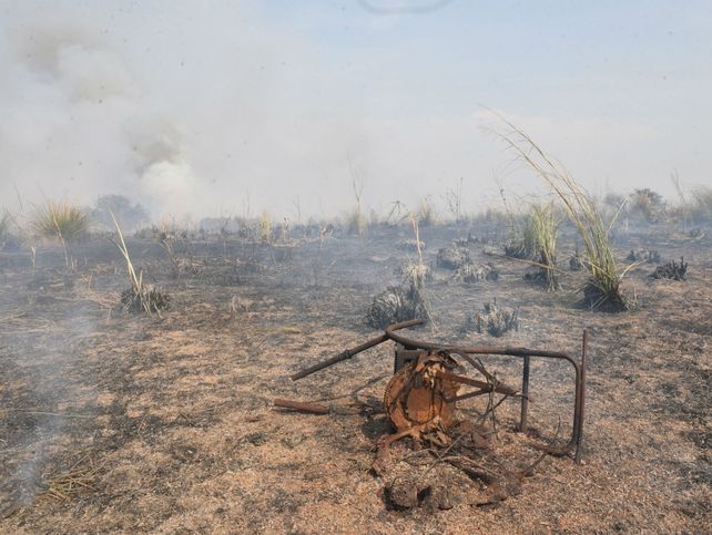 Pérdidas totales. Los incendios en las islas generaron daños cuantiosos.