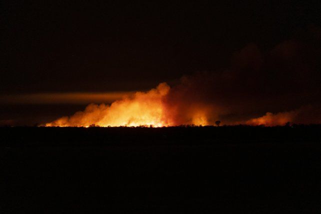 El fuego consumió este año más de 400 mil hectáreas del Delta del Paraná. 