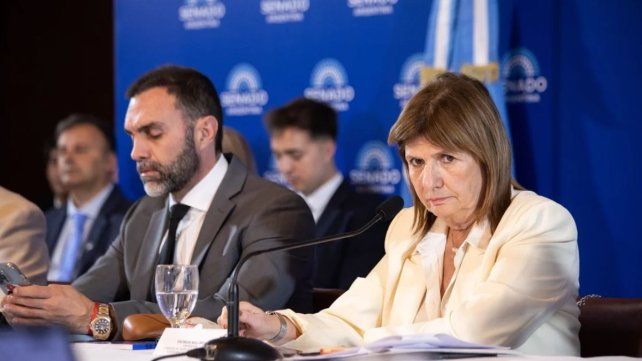 Patricia Bullrich en el Senado