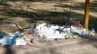 Proponen terminales verdes para eliminar los micro basurales