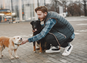 Qué dice la ciencia de las personas que acarician perros en la calle