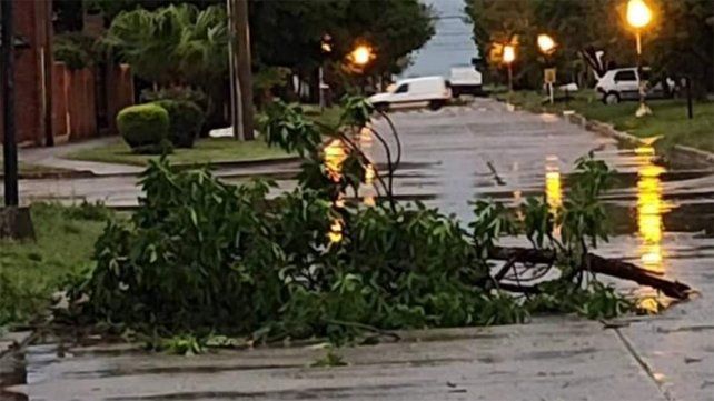Cerrito: el temporal de viento y lluvia provocó grandes inconvenientes