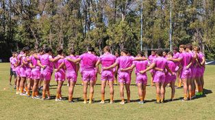 Jaguares XV debutará este domingo en la Superliga Americana jugando ante Cafeteros en Santiago de Chile. &nbsp;