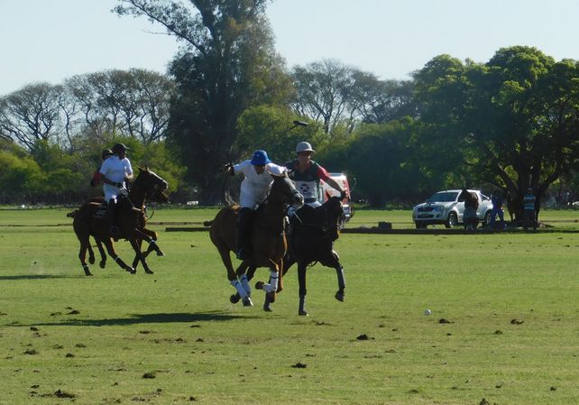 Actividad en el polo local